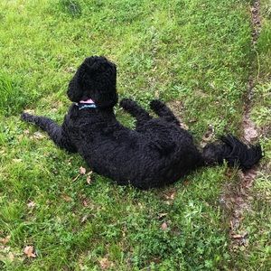 Meet your Posher, Erin